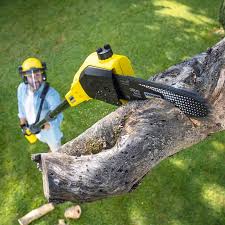 Best Sod Installation  in Cleburne, TX